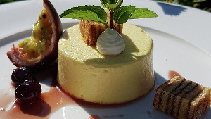 Hotel ROSE wakacje