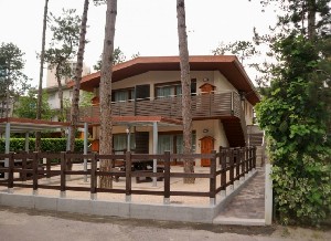 Vila