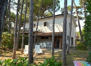 Vila 