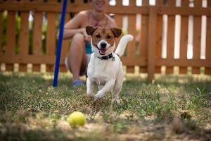 Hotel RESIDENCE PUNTA SPIN wakacje