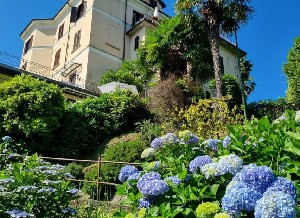 Apartmán Camelie 