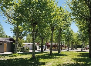 Lido di Sesto Camping 