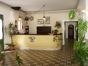 Hotel DELLE PALME wakacje