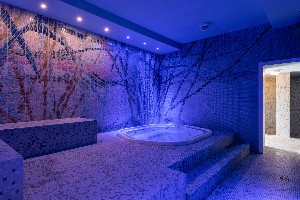 Spa and wellness