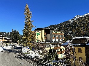Hotel BETULLA wakacje