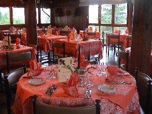 Hotel SPLENDOR wakacje