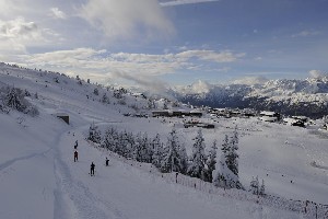 Hotel CLUB HOTEL ZODIACO wakacje