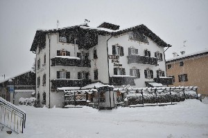 Hotel STELLA ALPINA wakacje
