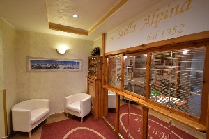 Hotel STELLA ALPINA wakacje