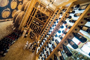 Hotel DELLE ALPI wakacje