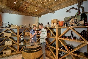 Hotel SPORT HOTEL VITTORIA wakacje