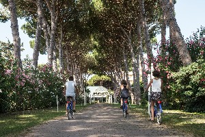 Hotel PARK HOTEL MARINETTA wakacje