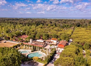 Viareggio Family Collection