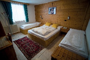 Hotel ALPS HOTEL WELLNESS ORIENTAL wakacje