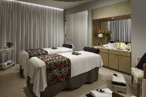 Spa and wellness