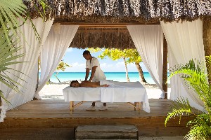 Spa and wellness