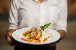 Hotel DEJA RESORT wakacje