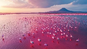 Jezero Natron