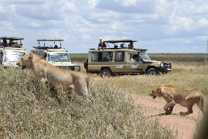 Hotel EXIMdiscovery: Afrykańska Odyseja – Mombasa, Mara, Naivasha wakacje
