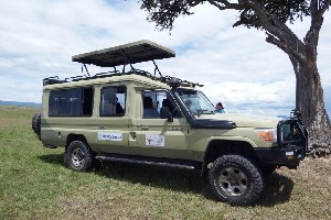 Hotel EXIMdiscovery: Afrykańska Odyseja – Mombasa, Mara, Naivasha wakacje