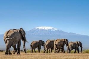 Hotel EXIMdiscovery - Czerwona Ziemia i Mgły Kilimandżaro wakacje