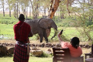 Hotel EXIMdiscovery - Czerwona Ziemia i Mgły Kilimandżaro wakacje