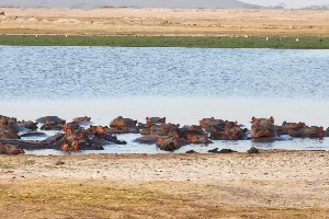 Hotel EXIMdiscovery - Czerwona Ziemia i Mgły Kilimandżaro wakacje