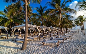 Hotel LION IN THE SUN wakacje