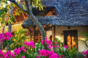 Hotel TEMPLE POINT RESORT wakacje