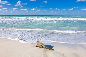 Kuba, Havana, Havana - Kuba 55+