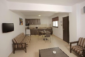 One Bedroom Aptm living area