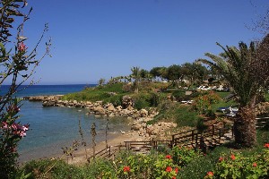 Garden / beach