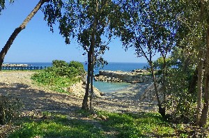 PATH TO THE BEACH