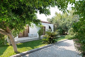 Hotel BARE HILL HOLIDAY VILLAGE wakacje