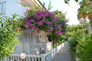 Riverside Garden Resort 4* (4*)