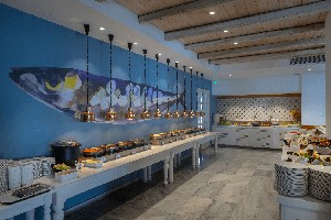 Hotel ALIATHON AEGEAN wakacje