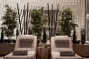 Spa and wellness
