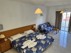 One Bedroom Standard Apartment 