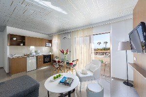 1 Bedroom Suite
