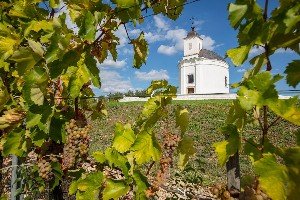 Tokaj