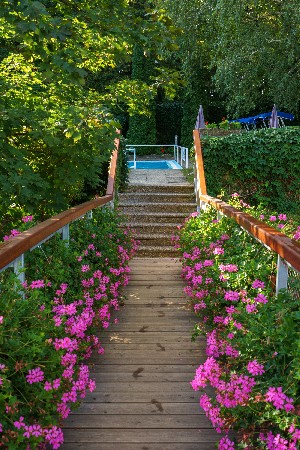 Hotel ENSANA THERMAL HEVIZ HEALTH SPA wakacje