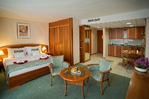 Hotel PALACE wakacje