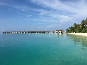 Hotel SAFARI ISLAND RESORT & SPA wakacje