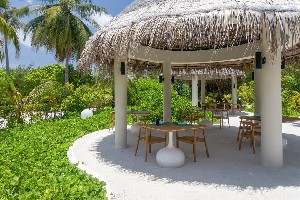 Hotel COCOON MALDIVES wakacje