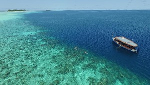 Hotel COCOON MALDIVES wakacje