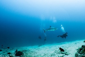 Hotel MOVENPICK RESORT KUREDHIVARU MALDIVES wakacje
