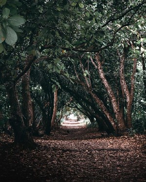 Hotel SIYAM WORLD MALDIVES wakacje