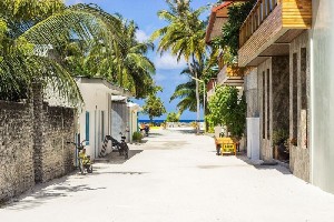 Maledivy, Maledivy, Kaafu atol - COCONUT TREE HULHUVILLA BEACH