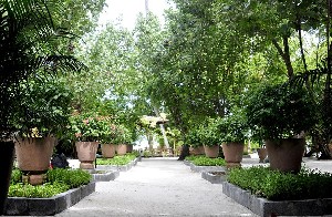 Hotel EMBUDU VILLAGE wakacje