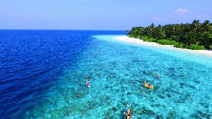 Hotel FIHALHOHI ISLAND RESORT wakacje